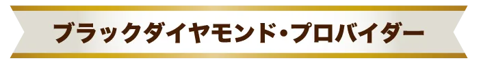 ブラックダイヤモンド・プロバイダー